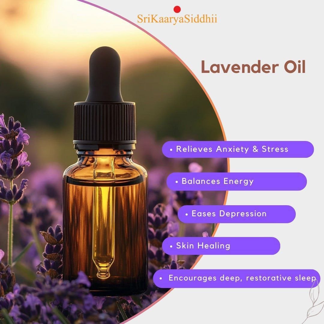 Lavender Essential Oil